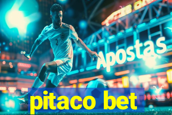 pitaco bet